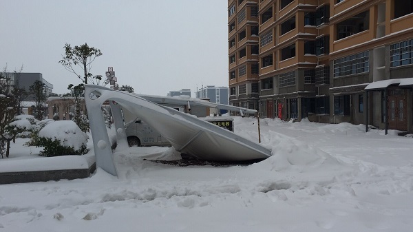 被積雪壓塌的車棚都有什么特點？